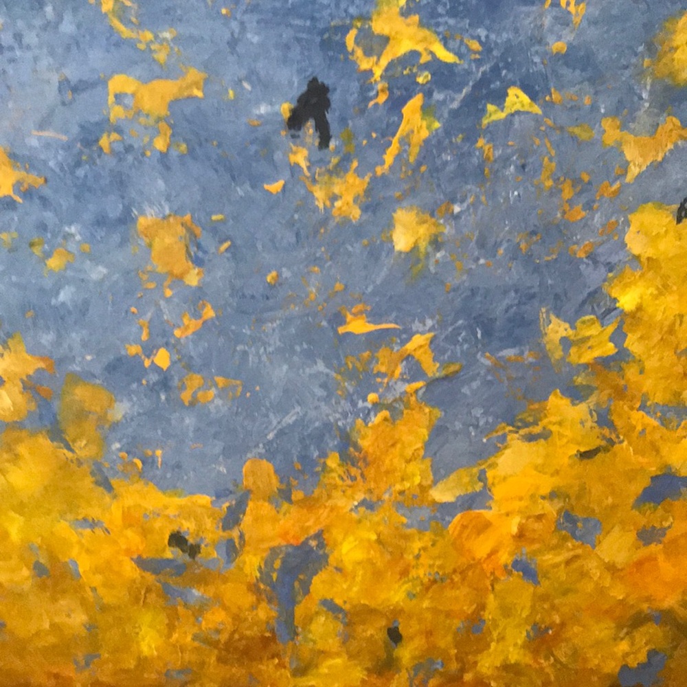 Meet your Posher, Pam